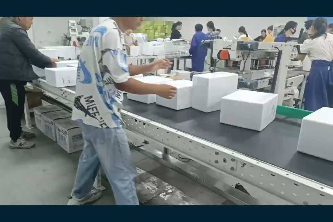 跋涉智能泡沫箱封箱机 为轻质脆弱的包装盒量身打造的封装利器